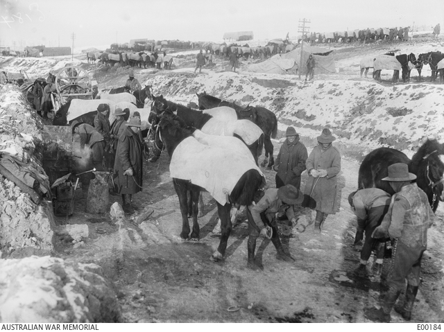 e00184-australians-shoeing-horses-bazentine-feb-1917-awm
